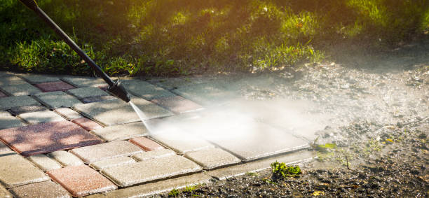 Best Solar Panel Cleaning  in Ste Genevieve, MO